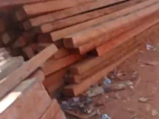 Diduga Berasal dari Hutan Lindung, Ribuan Batang Kayu Balok Ditemukan di Kayan Hilir, Projamin Kalbar Minta Kapolda Turun Tangan