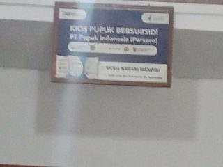 Dugaan Penyelewengan Distribusi Pupuk Bersubsidi oleh Kios Muda Kreasi Mandiri : Harga Melambung di Atas HET.