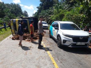 Ban Pecah, Truk Bermuatan Sawit Terbalik di Jalur Batang Tarang-Tayan Hulu