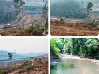 Aktivitas Pertambangan PT MUTU Disorot, Kepala Adat Minta Pemerintah Turun ke Lapangan