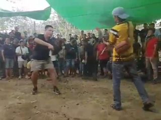 Dugaan Judi Sabung Ayam di Sebruang, Sosok Berinisial Af Disebut