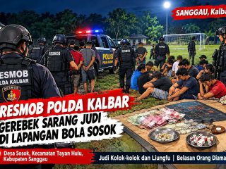 Geger! Resmob Polda Kalbar Gerebek Dugaan Perjudian di Lapangan Bola Sosok